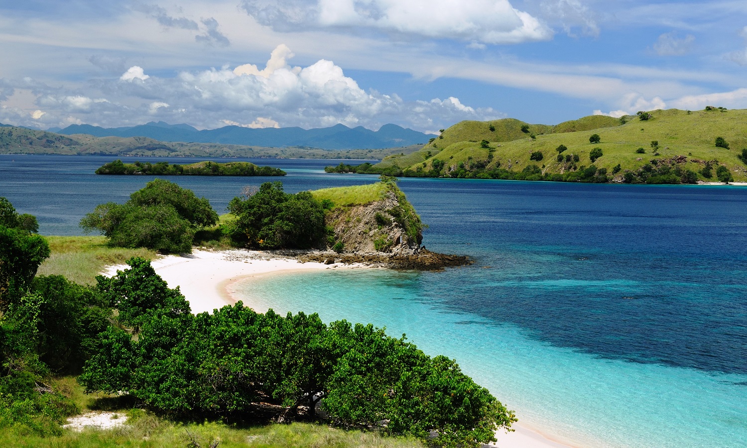 Dans la même catégorie