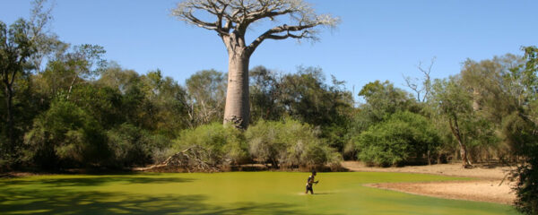 La nature à Madagascar