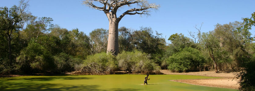 La nature à Madagascar