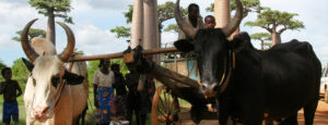 La culture malgache