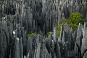 madagascar-voyage